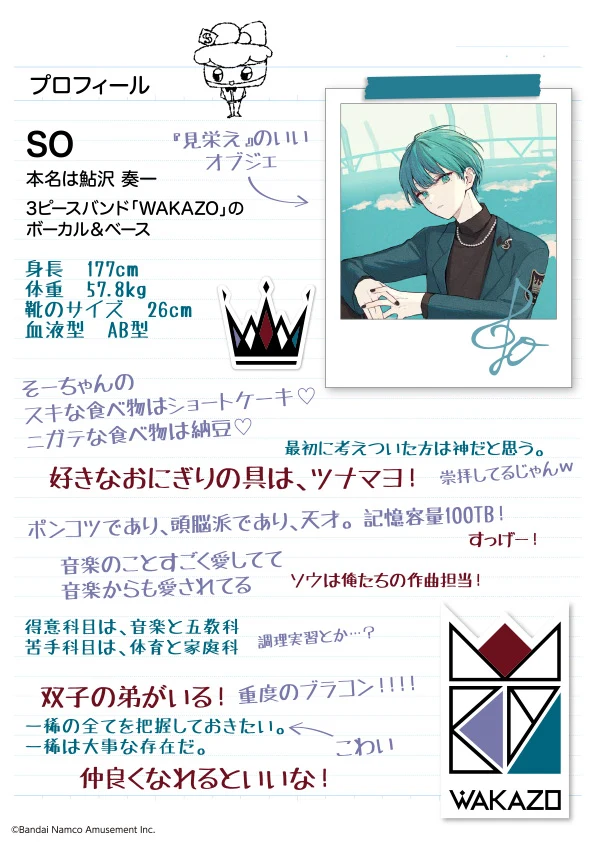 SO のプロフィールカード